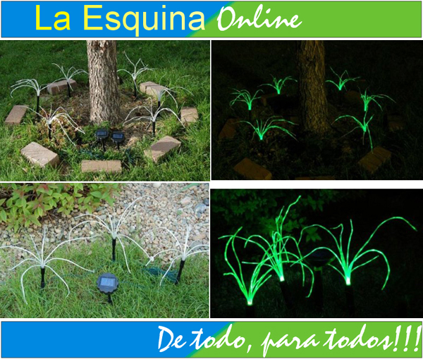 Grass salvaje luminoso, alegre su jardín con luces